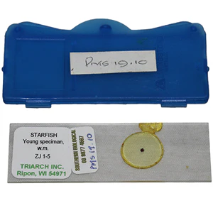 CLEARANCE, Livingstone Basic Level Prepared Slide, Plankton, Mixed, Whole Mount, Each