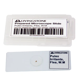 CLEARANCE, Livingstone Basic Level Prepared Slide, Plankton, Mixed, Whole Mount, Each - Image 10