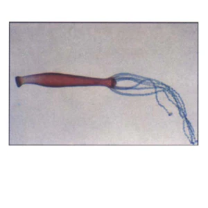 CLEARANCE, Livingstone Basic Level Prepared Slide, Plankton, Mixed, Whole Mount, Each - Image 11