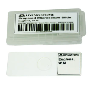 CLEARANCE, Livingstone Basic Level Prepared Slide, Plankton, Mixed, Whole Mount, Each - Image 12