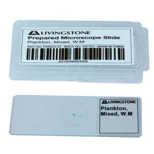 CLEARANCE, Livingstone Basic Level Prepared Slide, Plankton, Mixed, Whole Mount, Each - Image 3