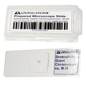 CLEARANCE, Livingstone Basic Level Prepared Slide, Plankton, Mixed, Whole Mount, Each - Image 6
