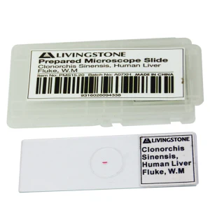 CLEARANCE, Livingstone Basic Level Prepared Slide, Plankton, Mixed, Whole Mount, Each - Image 8
