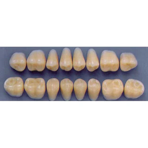 ULTRADENT POST. 33L/A3 UPPER (1x8 CARD) Card